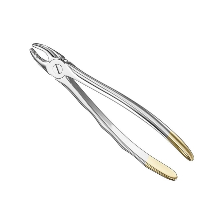 Extracting forceps, anat.